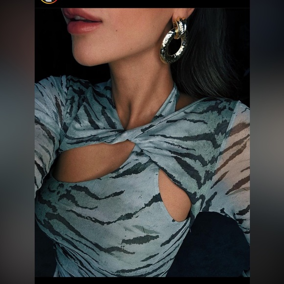 ZARA ZEBRA PRINTED TULLE TOP - Picture 4 of 6